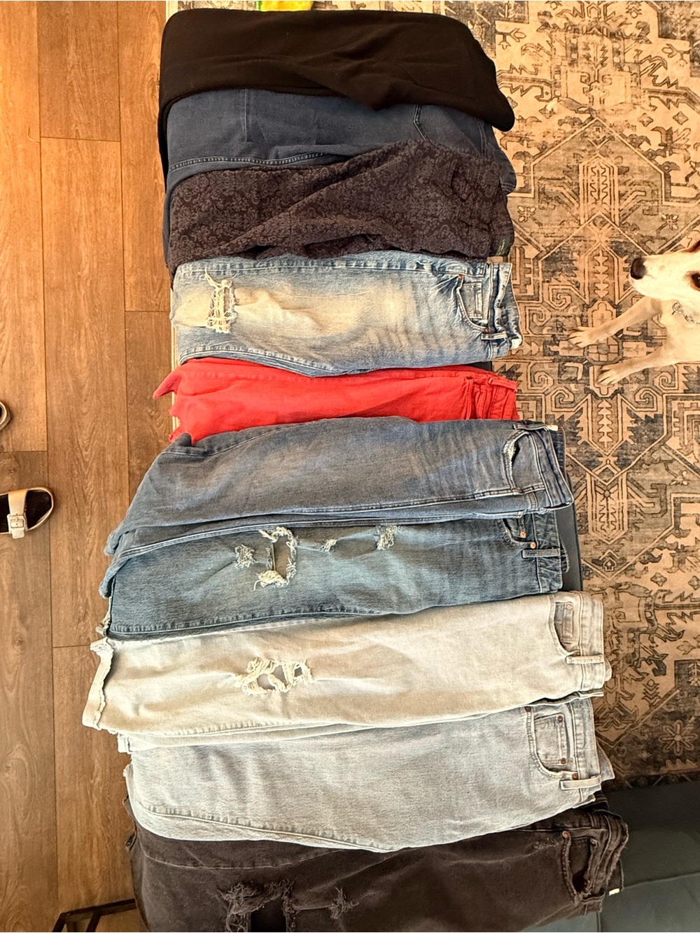 Women’s Pants Bundle Size 4